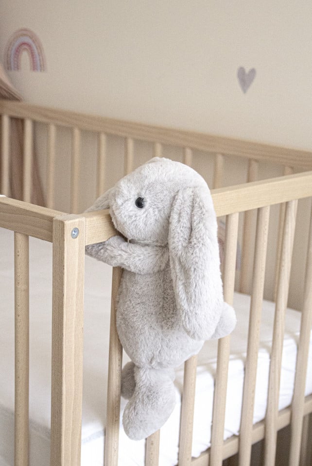 Jucarie din plus pentru copii BabyJem The Bestie Bunny