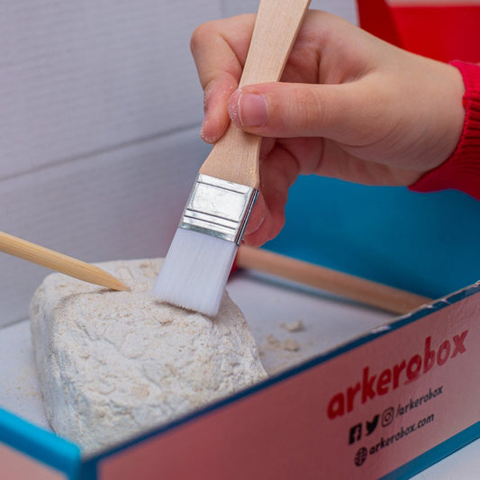 Arkerobox - Set arheologic educational si puzzle 3D, Istanbul, Turnul Galata